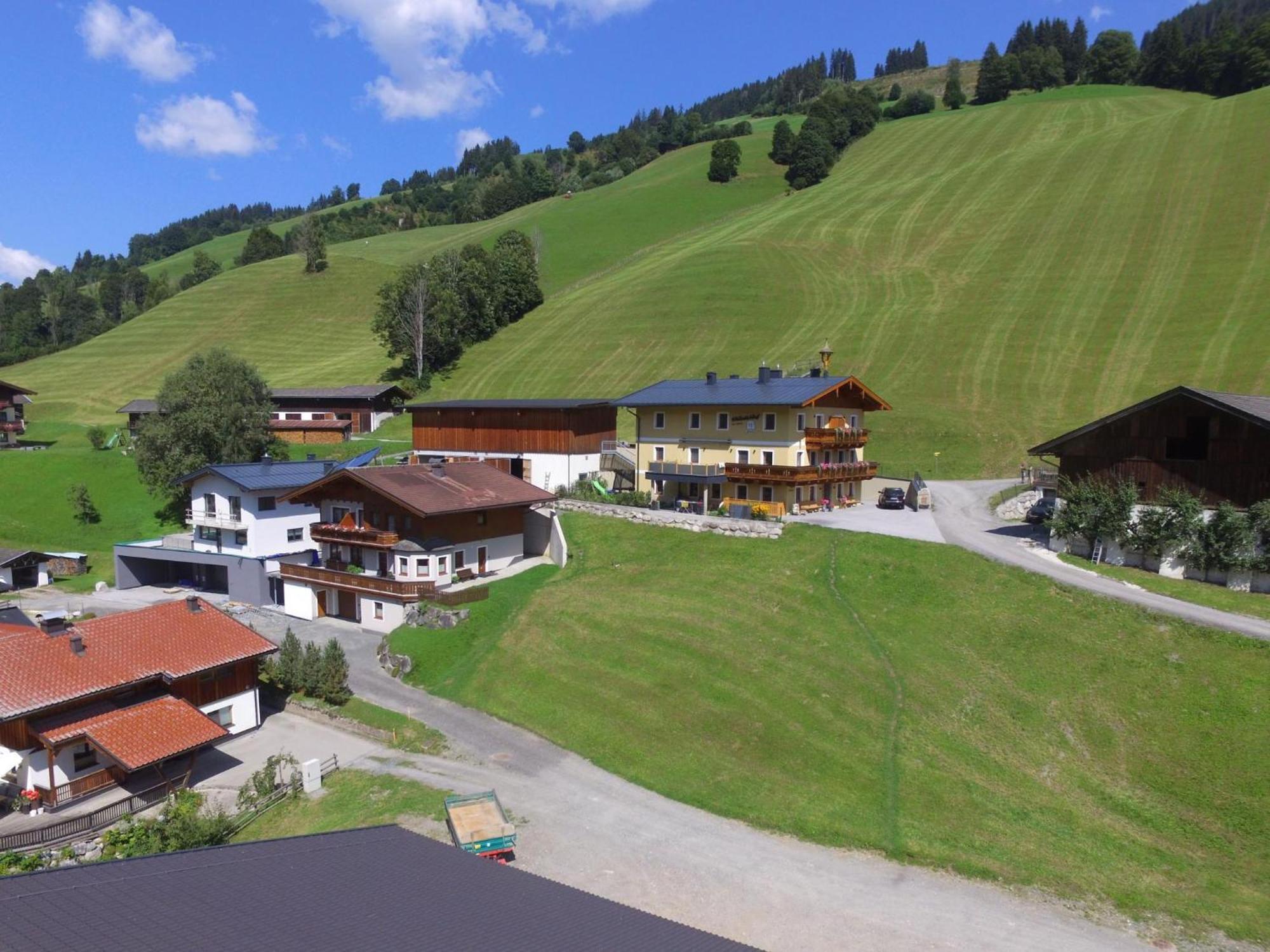Bichl Viehofen Daire Saalbach-Hinterglemm Dış mekan fotoğraf